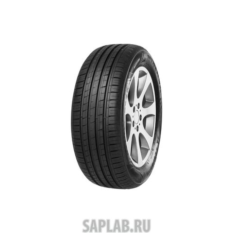 Купить MINERVA MV956 Шины Minerva F209 205/70 R15 T 96