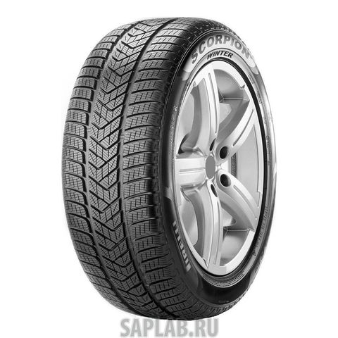 Купить запчасть PIRELLI - 3446000 